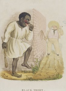 Spina nera, 1836
