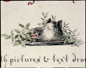 Testa di cinghiale