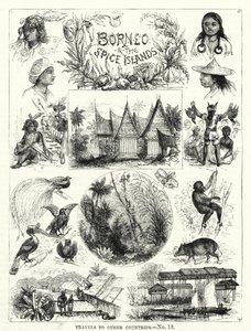 Borneo e le Isole delle Spezie (incisione) da English School