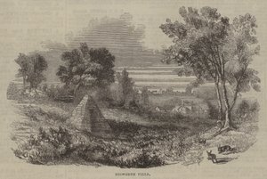 Campo di Bosworth da English School