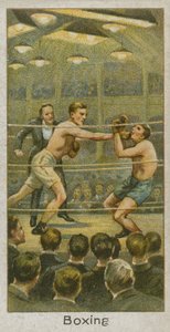Boxe da English School