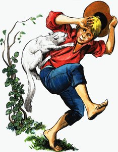 Ragazzo attaccato da un gatto da English School