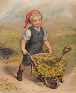Ragazzo che spinge una carriola piena di fiori