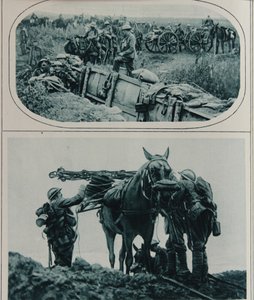 Artiglieri britannici con cavalli da soma, Fiandre, agosto 1917