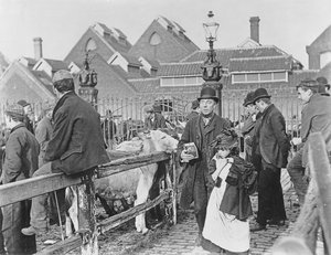 Mercato del bestiame del villaggio britannico, vittoriano, XIX secolo