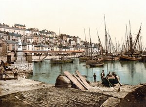 Porto di Brixham da English School