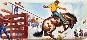 Bronco che scalcia al rodeo da English School