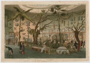 Museo di Bullock
