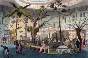 Museo di Bullock, 22 Piccadilly, Londra, da Ackermanns Repository of Arts, 1809 da English School