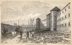 Cimitero alla prigione di Millbank, illustrazione da Le Prigioni Criminali di Londra e Scene dalla Vita Carceraria di Henry Mayhew e John Binny, pub. 1862