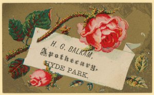 Biglietto da visita per H G Balkam, Farmacista, Hyde Park