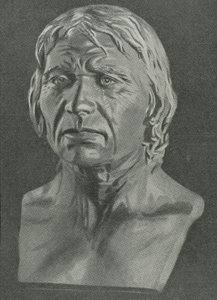 Busto di un uomo di Cro-Magnon da English School