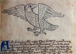 CCA-LitMs/D/10 fol. 13r Aquila, dal Bestiario