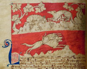 CCA-LitMs/D/10 fol. 4v Lupo, dal Bestiario da English School