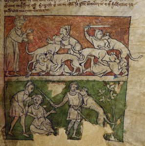 CCA-LitMs/D/10 fol. 6r Cane, dal Bestiario da English School