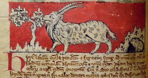 Capra, dal Bestiario da English School