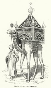Cammello con il Mahmal (incisione) da English School
