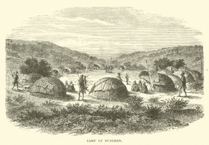 Campo dei Boscimani da English School