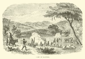 Campo dei Kaffir da English School