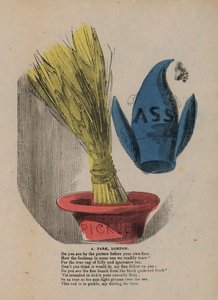 Cappello della follia e betulla in una ciotola di sottaceti (incisione colorata)