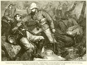 Capitano Bassano