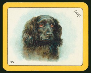 Carta dal gioco di corse di levrieri The Black Cat