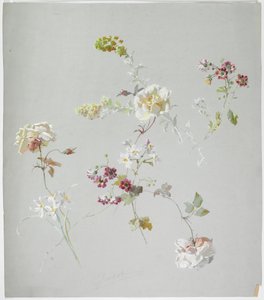 Design del tappeto