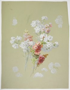 Design del tappeto