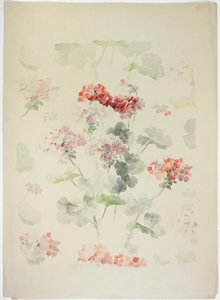 Design del tappeto