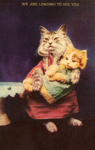 Gatto e gattino