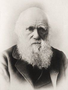 Charles Darwin
