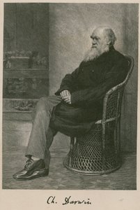 Charles Darwin da English School
