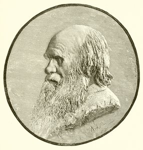 Charles Darwin da English School