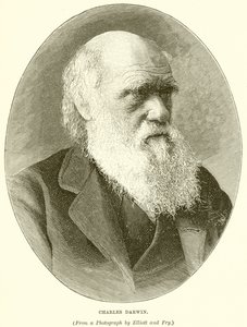 Charles Darwin da English School