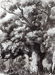 Carlo II (1630-85) nascosto nella quercia, 14 ottobre 1651 da English School