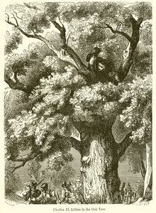 Carlo II nascosto nella quercia da English School