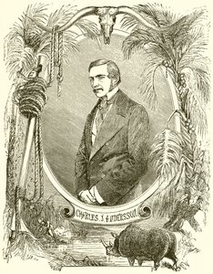 Charles J Anderson