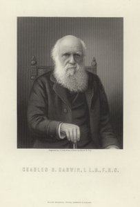 Charles R. Darwin da English School