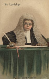 Bambino vestito da giudice da English School
