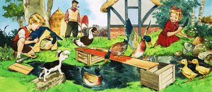 Bambini e anatre che giocano