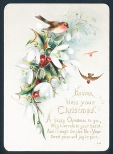 Biglietto di Natale - Il cielo benedica il tuo Natale da English School