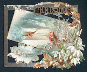Cartolina di Natale con due pettirossi