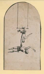 Acrobati del circo