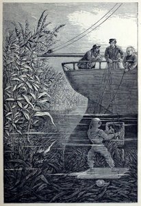 Pulizia della vite, da Sotto le onde, o Immersione in acque profonde da English School
