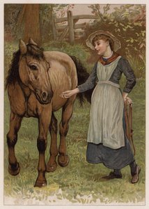 Il furbo Dobbin da English School