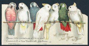 Cacatua, Cartolina di Capodanno da English School