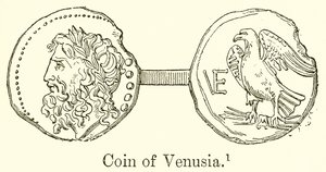 Moneta di Venusia da English School