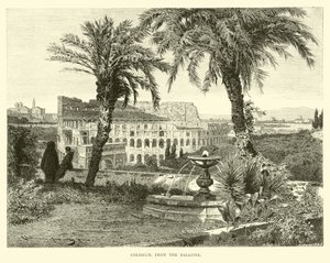 Colosseo, dal Palatino