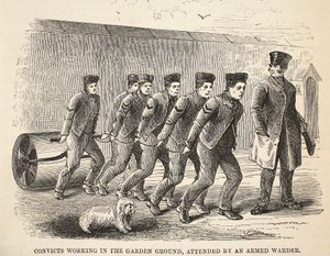 Detenuti che lavorano nel giardino, sorvegliati da una guardia armata, illustrazione da Le Prigioni Criminali di Londra e Scene dalla Vita Carceraria di Henry Mayhew e John Binny, pub. 1862