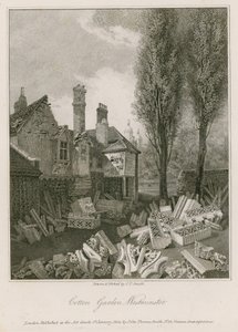 Cotton Garden a Westminster